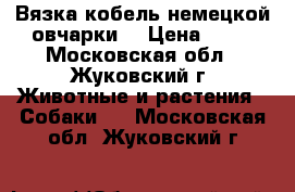 Вязка кобель немецкой овчарки. › Цена ­ 10 - Московская обл., Жуковский г. Животные и растения » Собаки   . Московская обл.,Жуковский г.